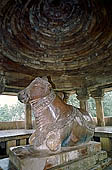 Khajuraho - Nandi shrine in front of Visvanatha Temple 